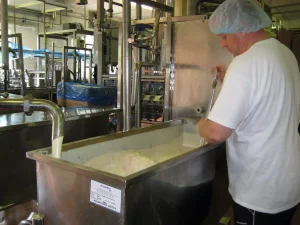 Food Manufacturer Achieves ISO 8573-1 Compliance Through Enhanced Purity Audit